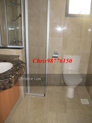 Carissa Park Condominium (D17), Condominium #145796122